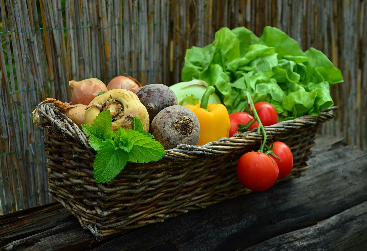 Semis de légumes : 10 conseils pour une réussite assurée !